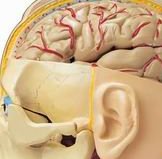 深圳北大医院试管婴儿指南，详细费用明细